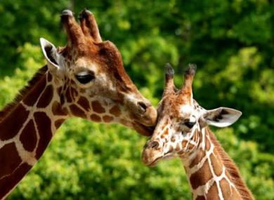 2022 - Afrique du Sud - photo 1